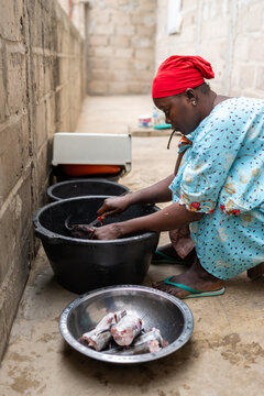 Senegalese woman cleaning fresh fish in basin at home