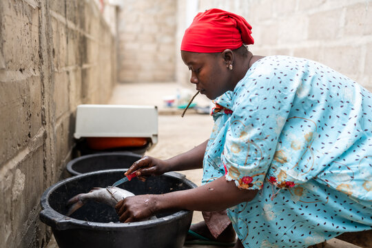Senegalese woman cleaning fresh fish in a basin at home