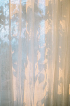 Soft shadows on sheer curtain with sunlight filtering in