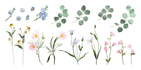 Spring and summer watercolor flower element vector set. Watercolor hand painted botanical floral, daisy, wildflower, eucalyptus leaves. Design for wallpaper, poster, banner, card, print, website.