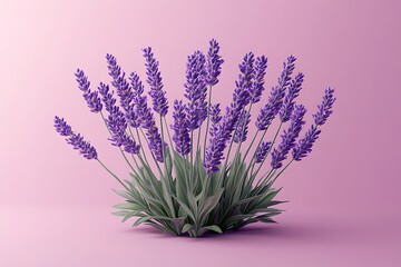 bunch of lavender