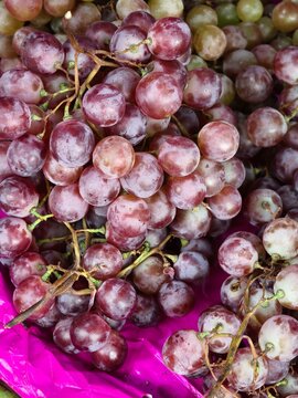 Fresh organic grape fruits selling in a retail shop