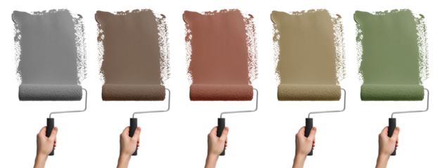 Set of hand painting holding roller brush with streak smear paint subtle muted colours of olive green, grey, brown, maroon, coral, mauve on transparent cutout PNG. Mockup template for artwork design
