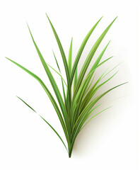 Obraz premium there is a plant that is green and has long leaves