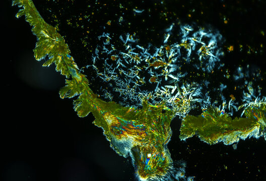 Vitamin B2 crystals under a microscope