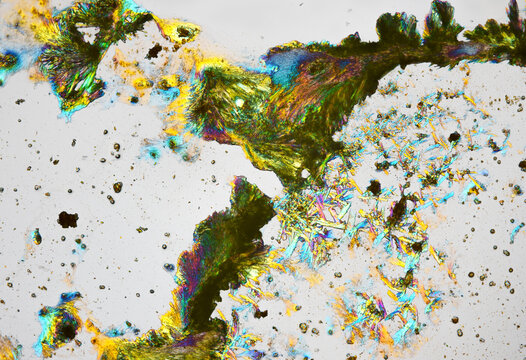 Vitamin B2 crystals under a microscope