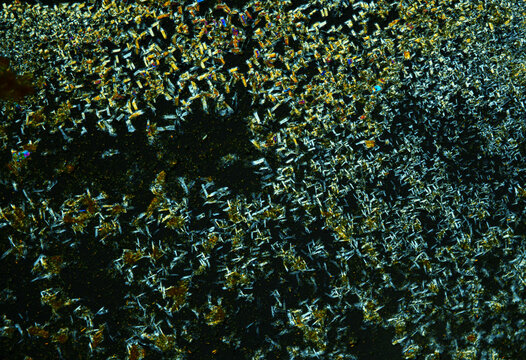 Vitamin B2 crystals under a microscope