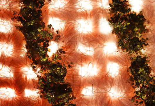 Gold foil fiber detail