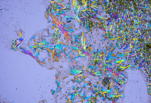 Vitamin B2 crystals under a microscope