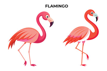 Beautiful Flamingo bird on white background vector illustration 