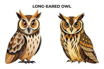 Beautiful Long-eared Owl on white background vector illustration