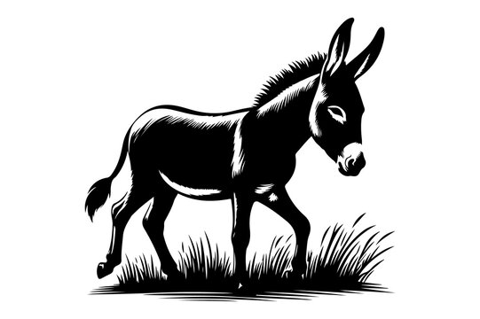 black donkey walking on grass clip art preview