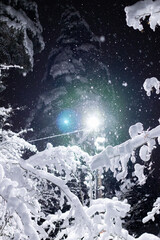 Falling snow against the black background and street lamp. Low light in the night. Winter...