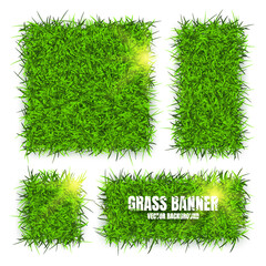 Green grass banners, background. Field, meadow texture, grassy landscape. Organic, bio, eco and natural lifestyle design elements. Ecology and environment protection. Vector illustration