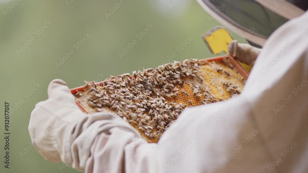Poster over shoulder view of beekeeper checking a hive frame teeming with honeybees