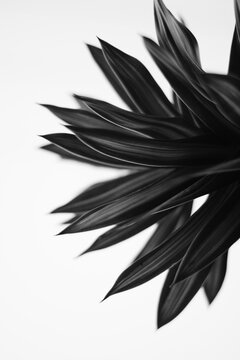 Abstract Texture