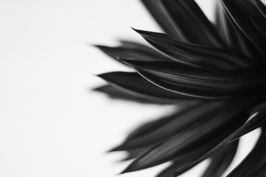Abstract Texture