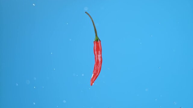 Single small hot red chili pepper flying through air and spinning with small water droplets. High quality cinematic studio commercial super slow motion 1000fps fresh pepper moving up and down. - Powered by Adobe