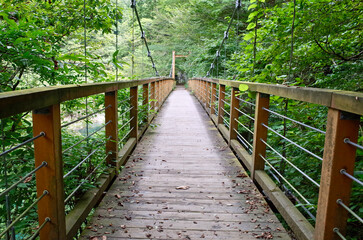 誓願橋　抱返り渓谷