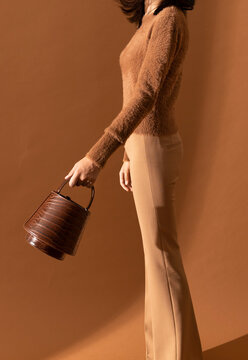 Stylish Woman Wearing Brown Outfit Holding Crocodile Leather Han