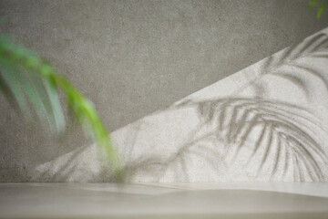 A gray-toned tile background with various props with sunlight coming through the window.