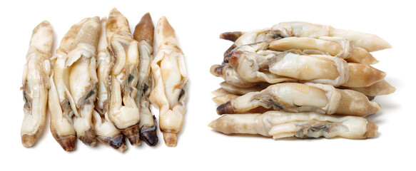 Razor clams isolated on white background.