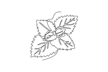 Fototapeta premium Continuous one line drawing of healthy blossom organic freshness mint leaves for farm logo identity. Fresh mentha plant concept for plantation icon. Single line draw design vector graphic illustration