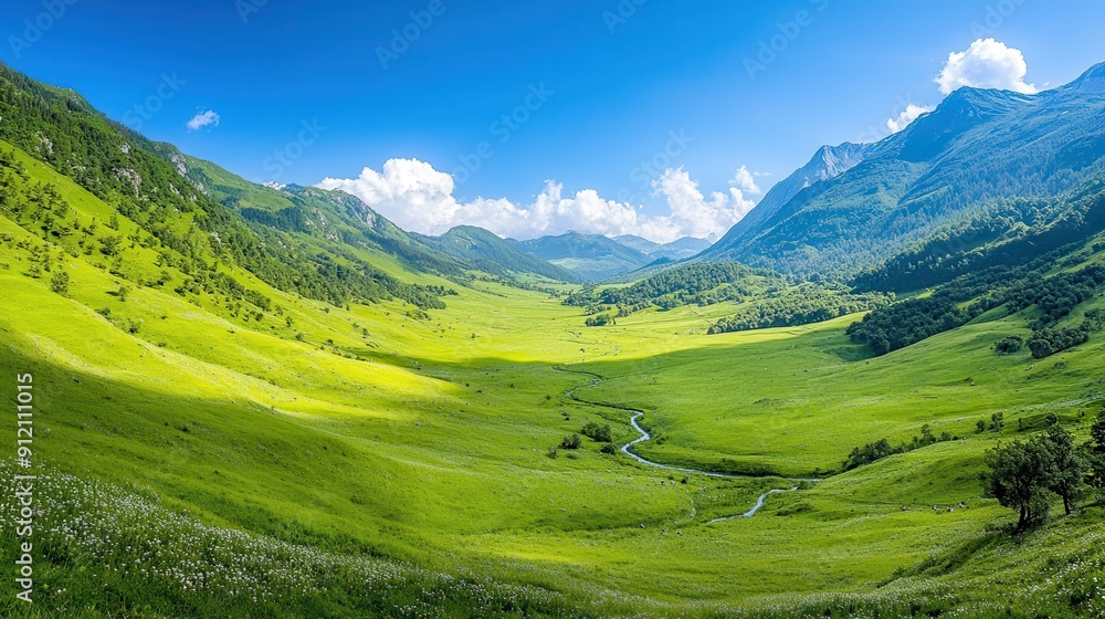 Wall mural Mountain Valley Landscape with Stream and Green Grass.