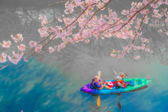 春景色」の写真素材 | 22,434件の無料イラスト画像 | Adobe Stock