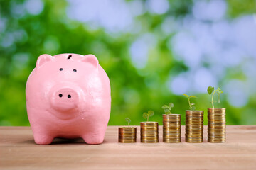 Pink piggy bank and stack of golden money coin with growing leaves on wooden desk against nature background. Business finance and saving money investment