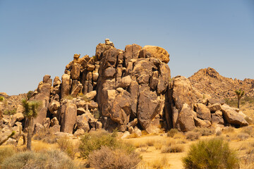 Majestic Wilderness: Exploring the Iconic National Parks of the American Southwest
Discover the awe-inspiring beauty and diverse landscapes of the national parks in Arizona, California, Nevada, and Ut