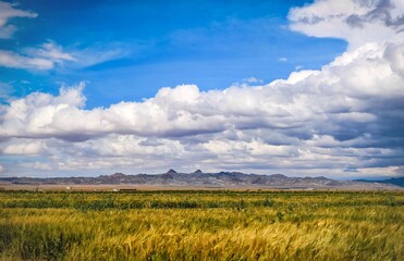 Obraz premium landscape with clouds