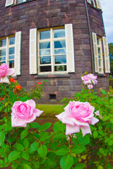 Fototapety na wymiar - Fototapeta24.pl