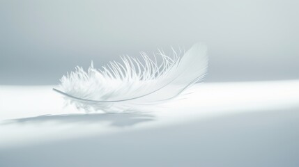 Obraz premium A minimalist background with a clean, white surface and a single, delicate feather floating gently in the center, the simplicity and purity of the composition creating a serene and contemplative mood