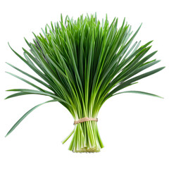 Fresh Green Chives