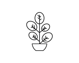 Rubber plant icon vector symbol design isolated illustration