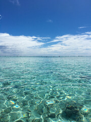 tropical island in the island sea