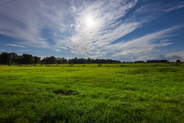 Golden sunlight bathes the vibrant green fields, while fluffy clouds drift lazily across the expansive blue sky, creating a serene rural atmosphere.