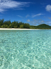 beach with turquoise water