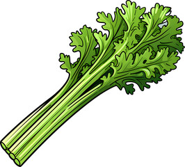 celery