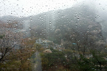 Rain Drops on Window