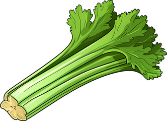 Fototapeta premium celery