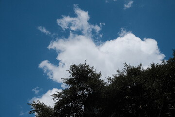 Obraz premium yosemite national park with blue sky, bridalveil fall with blue sky, bridal veil Falls in Yosemite National Park