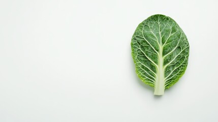 Fototapeta premium Fresh Brussels sprout, halved to reveal tightly packed leaves, presented in a minimalistic style on a clean white background