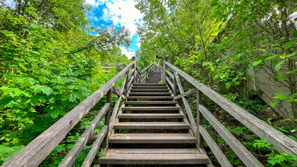 A wooden staircase in a forest with green leaves. The stairs are wooden and are surrounded by trees