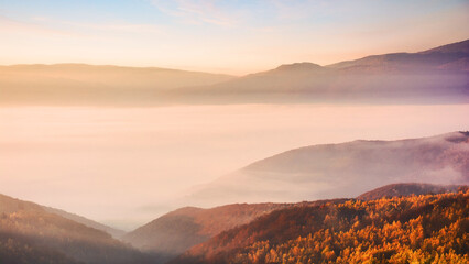 forest on mountain hillside in fog at sunrise. autumnal landscape of ukraine