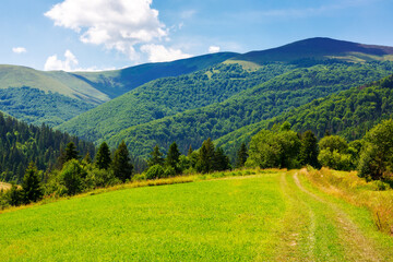 Obraz premium beautiful countryside of ukraine. sunny afternoon. wonderful summer landscape in mountains. grassy field and rolling hills. rural scenery