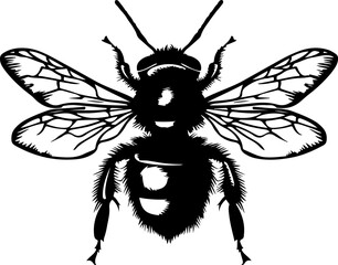 Bee clipart desing illustration