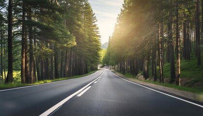 Fototapeta premium road trees summer