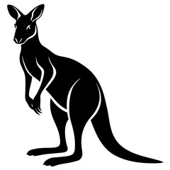 kangaroo with baby vector
